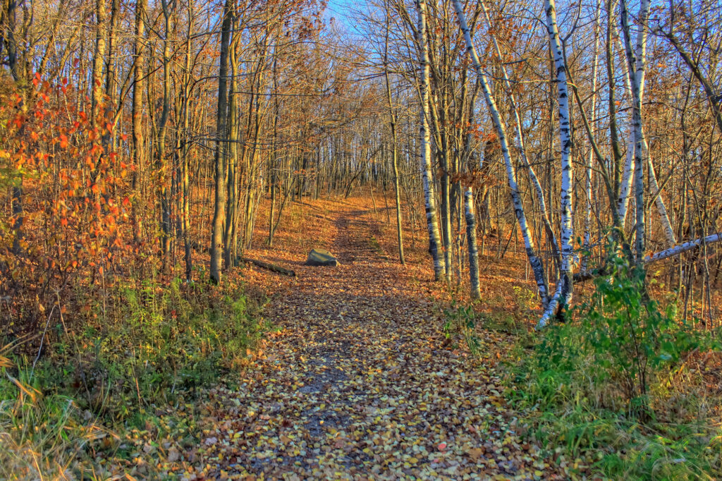 Northern Kettle Moraine, Wisconsin.